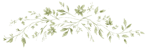 Botanical Illustration